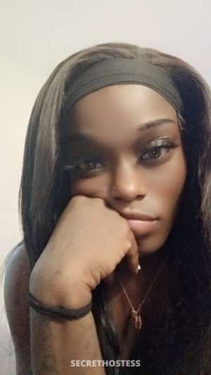 Biddy 25Yrs Old Escort Gainesville FL Image - 2