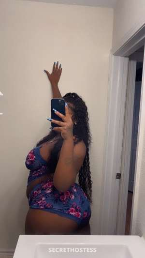 Amber 27Yrs Old Escort Panama City FL Image - 3