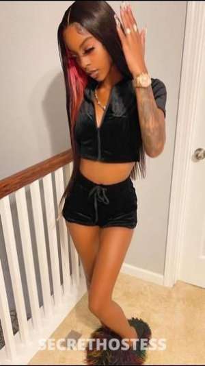 daisy 23 year old Escort in Westchester NY