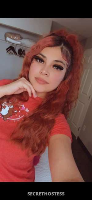 Dangerr 20Yrs Old Escort 154CM Tall Dayton OH Image - 3