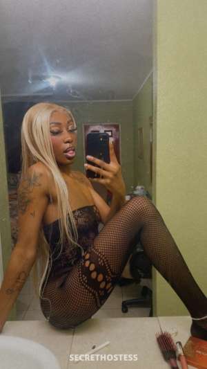 Dinero 24Yrs Old Escort Memphis TN Image - 1