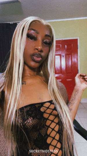 Dinero 24Yrs Old Escort Memphis TN Image - 2