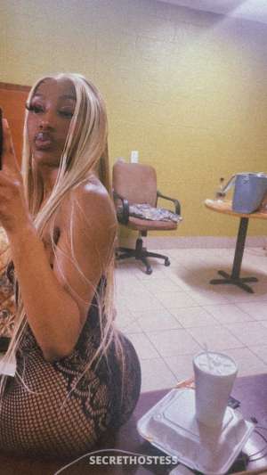 Dinero 24Yrs Old Escort Memphis TN Image - 3