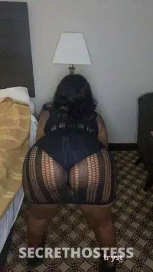 Honey 25Yrs Old Escort Raleigh NC Image - 3