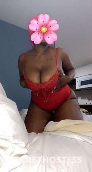 Honey 25Yrs Old Escort Raleigh NC Image - 4