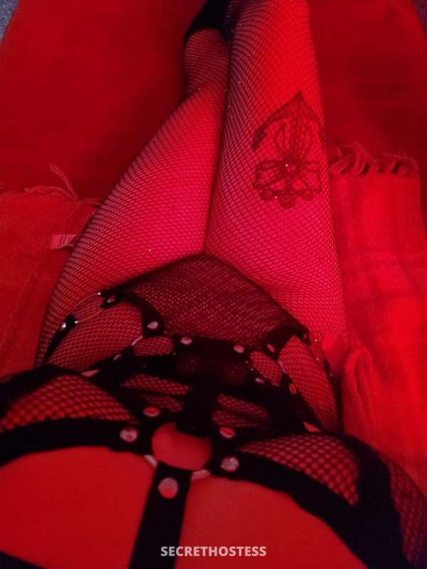 Daphneerae 26Yrs Old Escort Size 6 157CM Tall Niagara Image - 7