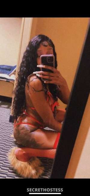 21Yrs Old Escort San Fernando Valley CA Image - 1