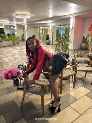 21Yrs Old Escort San Fernando Valley CA Image - 4