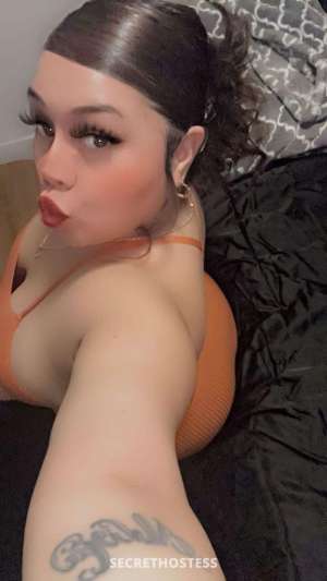 31Yrs Old Escort Phoenix AZ Image - 3