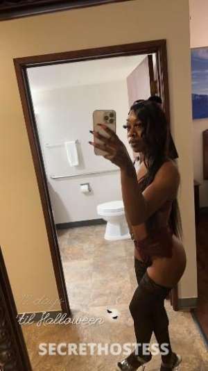 Raven 23Yrs Old Escort Everett WA Image - 7