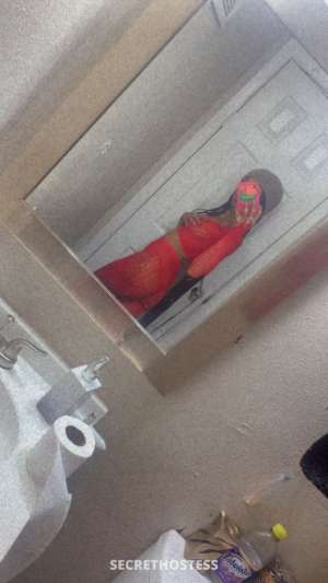 Doll 23Yrs Old Escort Denton TX Image - 3