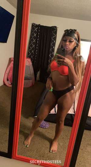 20Yrs Old Escort 160CM Tall Tuscaloosa AL Image - 1