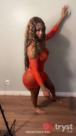 BigFox - Available NOW 0 year old Escort in Arlington VA