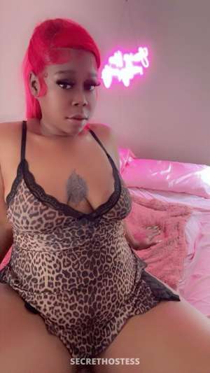Paradise 29Yrs Old Escort Biloxi MS Image - 1