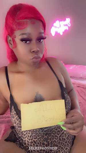 Paradise 29Yrs Old Escort Biloxi MS Image - 6