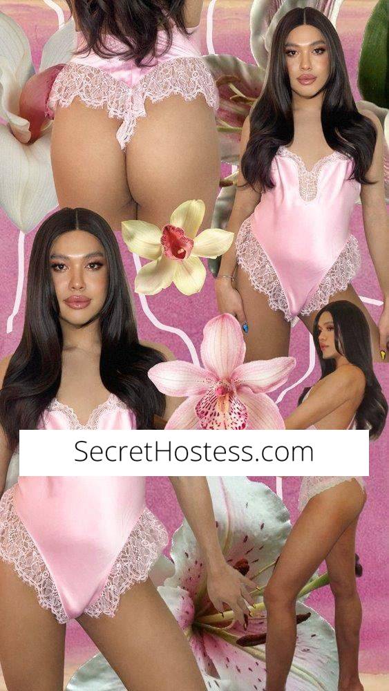 25Yrs Old Escort 67KG 178CM Tall Balwyn North Image - 15