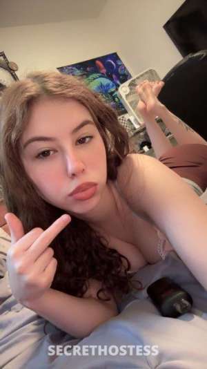 24Yrs Old Escort Sarasota / Bradenton FL Image - 1