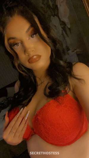 29 year old Escort in Monterey CA HelloHANDSOMEGENTLEMEN COME PARTY WITH SWEET EXOTIC CREAMY 