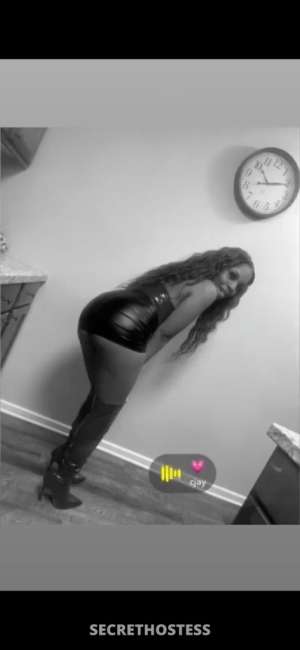 Carmel 20Yrs Old Escort Image - 2
