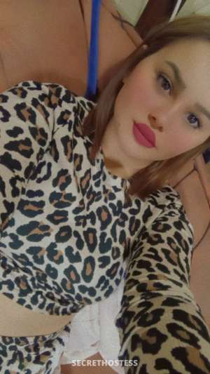 Dado, escort 23 year old Escort in Erbil