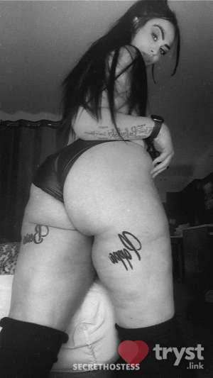 Nikki - Serbian Stallion 0 year old Escort in Des Moines IA