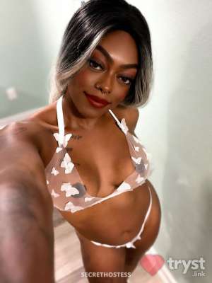 0 year old Escort in Panama City Beach FL MauiMaui - Come Test This Warm Water Babe