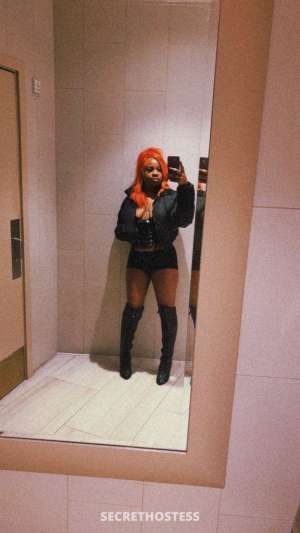 24 year old Escort in San Diego CA Sexy dreamy creamy cali babe