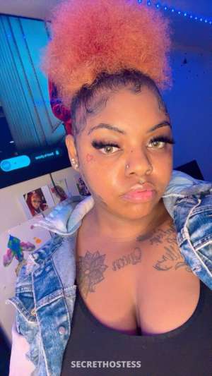 27Yrs Old Escort Dallas TX Image - 1