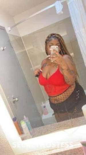 27Yrs Old Escort Dallas TX Image - 2