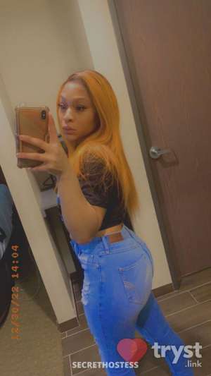 0 year old Escort in Frisco TX Amina - Top Tier EXOTIC BEAUTY