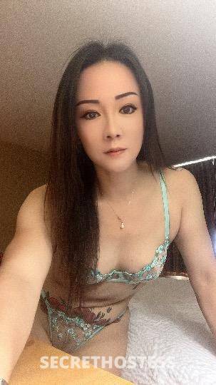 30Yrs Old Escort Northern Virginia DC Image - 0