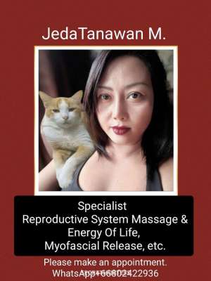 33Yrs Old Escort 165CM Tall Phuket Image - 1