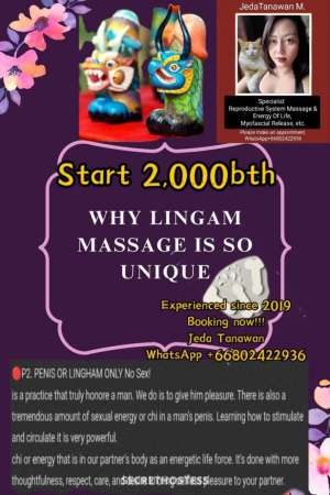 33Yrs Old Escort 165CM Tall Phuket Image - 9