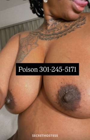 .Ocean 25Yrs Old Escort Norfolk VA Image - 6