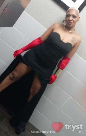 Injoi - DIME PIECE 4 HIRE 0 year old Escort in Knoxville TN