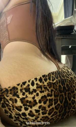 Rocio 26Yrs Old Escort Image - 3
