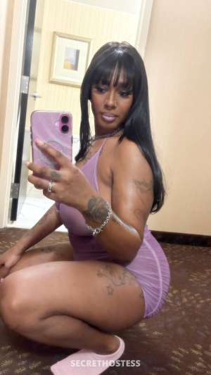 24 year old Escort in Washington DC Let me bounce this ass on you