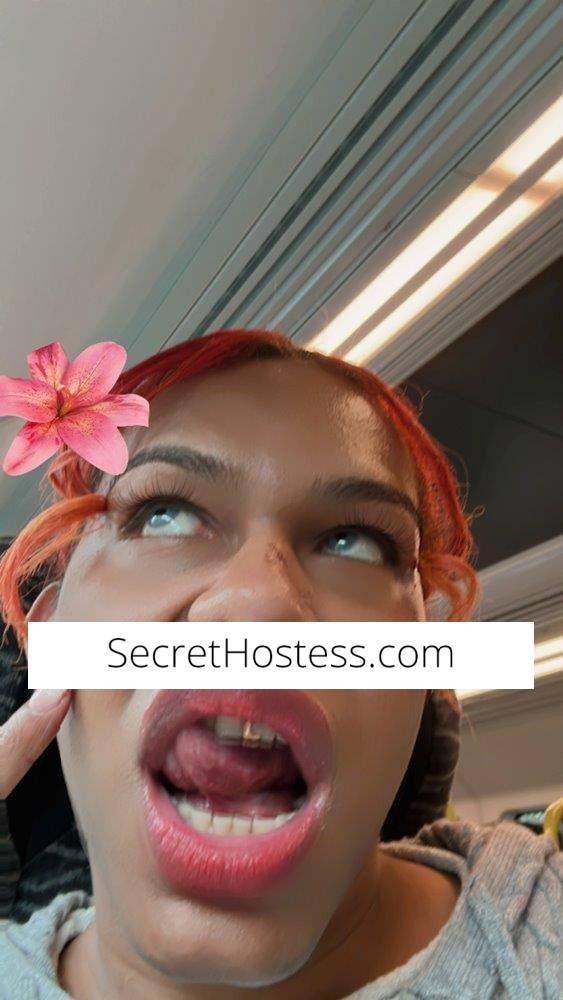 27Yrs Old Escort Gosford Image - 2