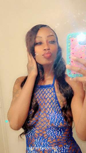 your chocolate treat is here 21 year old Escort in Bakersfield CA