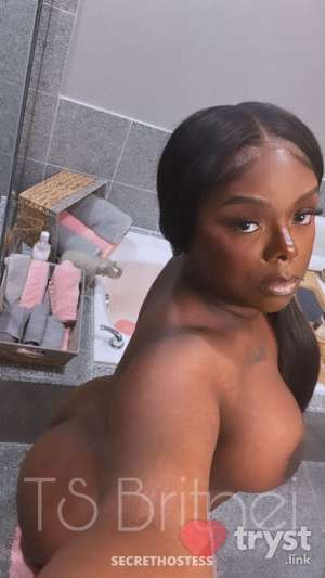 TS Britnei - ️ 5 Star Service 0 year old Escort in Little Rock AR