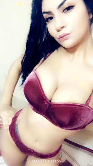 25 year old Lebanese Escort in Dubai Nancy VIP Lebanese Escort, escort