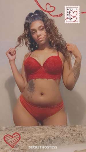 UPSCALE BEAUTY SLIM THICK NEW IN TOWN INCALL&amp; 27 year old Escort in Alexandria LA