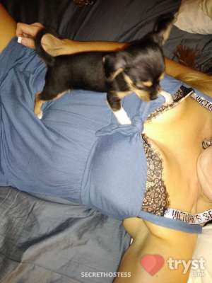 0 year old Escort in Chandler AZ Charleigh