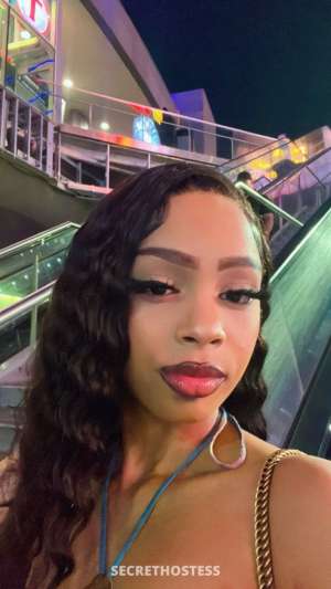 Jasmine 21Yrs Old Escort San Diego CA Image - 3