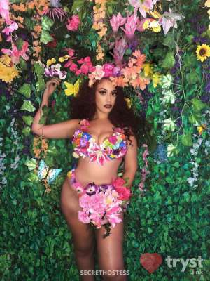 Escort San Francisco CA Image - 7