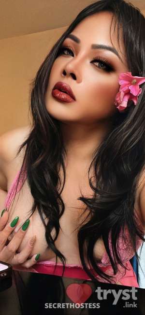 0 year old Asian Escort in Bellevue WA Ts Silavea Thai - Hot Sexy Asian Thai Shemale