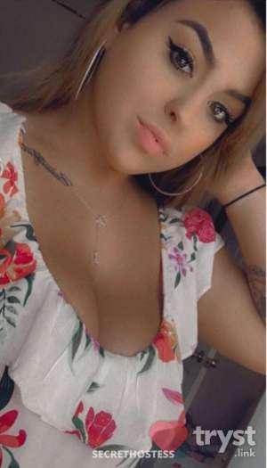 0 year old Escort in Anderson SC Presley Platinum - Available now