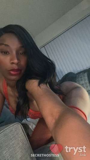 MelodyStar 0 year old Escort in Tucson AZ