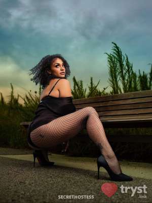 Jai Nova - Milking Table Companion 0 year old Escort in Virginia Beach VA