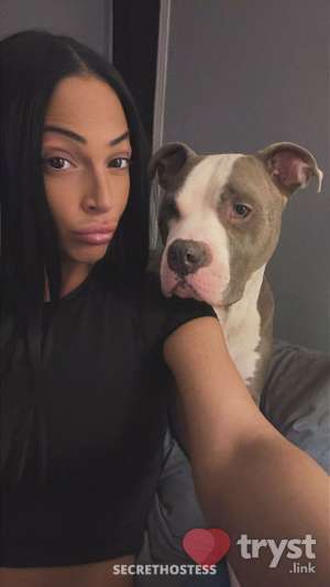 Bria - Italian Delight 0 year old Escort in Albany NY